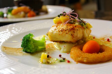 Food delicious cooked food