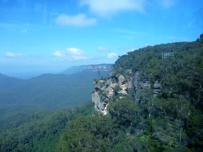 New south wales forest landscape photo