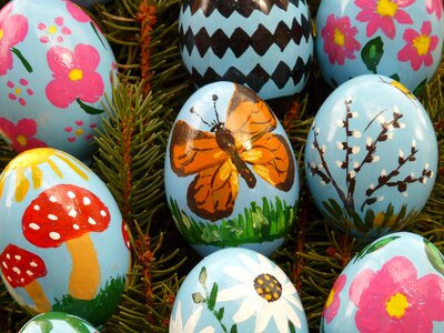 Easter egg painting easter eggs egg photo