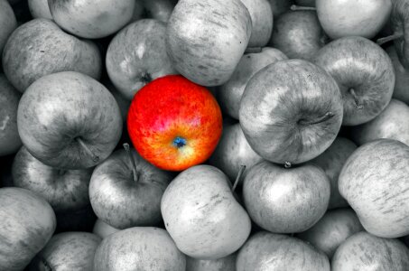 Fruit vitamins season
