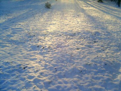 Morning snow 