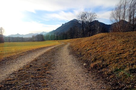 Lane alpine way meadow photo