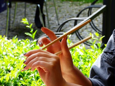 Sensei japan wood