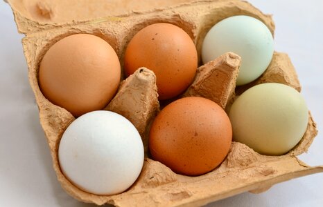 Hen's egg nutrition food photo