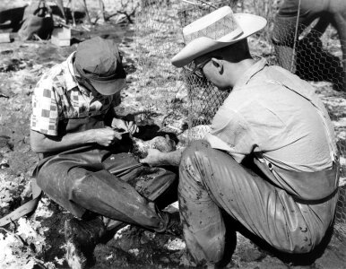 Historical Waterfowl Survey-1