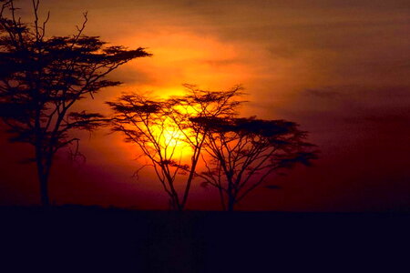 African scenic sunset photo