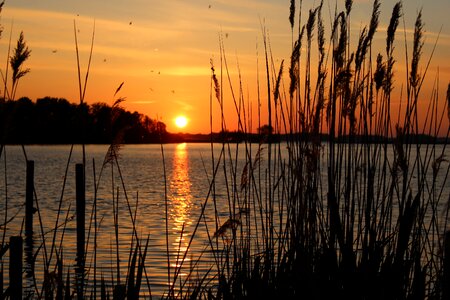 Nature abendstimmung lake