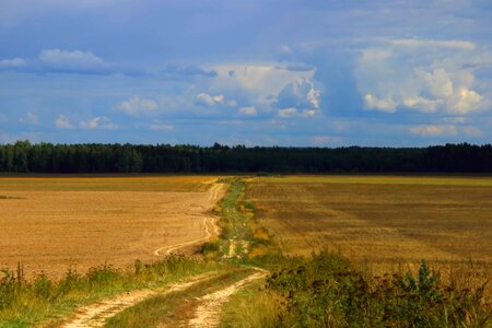 Agriculture atmosphere autumn