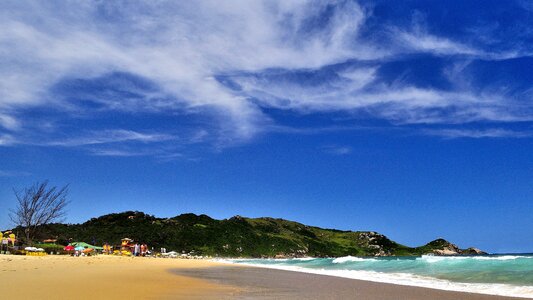 Beach coast green