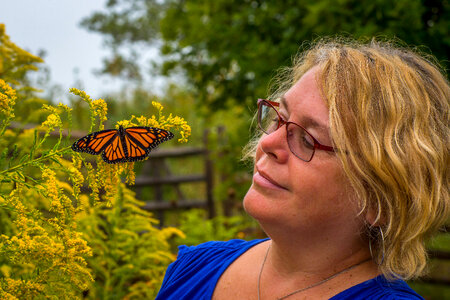 Woman looking at monarch butterfly on goldenrod flower