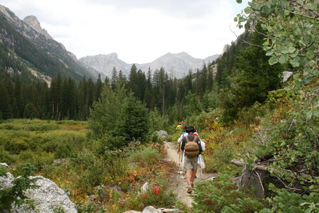 Grand Teton and Mt. Owen from Taggart Lake Trail photo