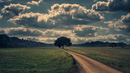 Storm Clouds Tree photo