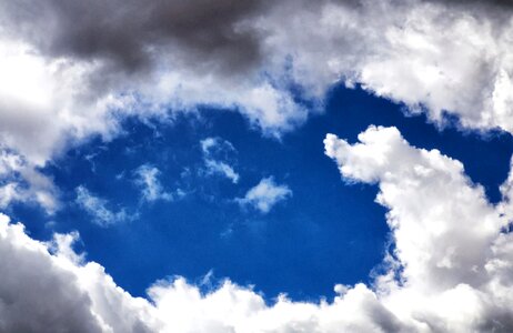 Upward fly blue