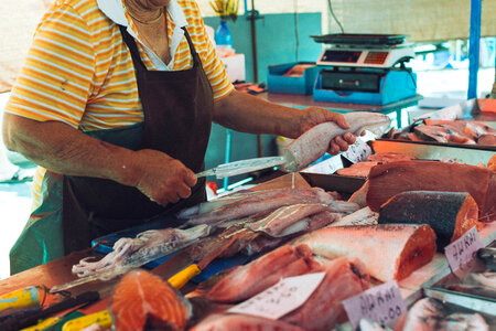 Squid cutting at fish market photo