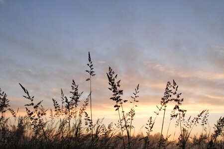 Nature sky dramatic