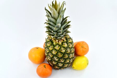 Citrus exotic lemon