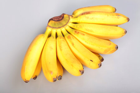 bananas photo