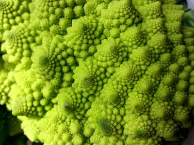 Light green broccoli eat