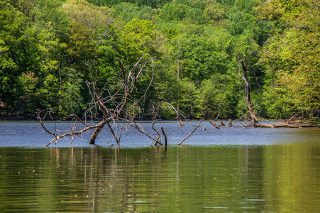 Fountainhead Regional Park, Virginia