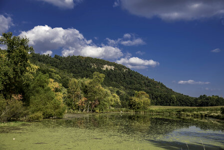 Pond Landscape with trees and Hill