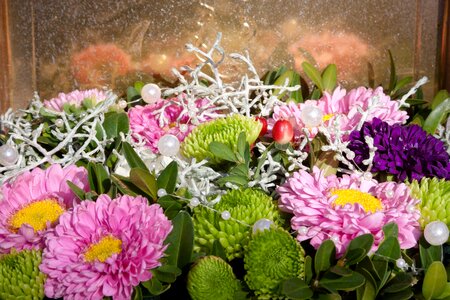 Decoration autumn flowers violet