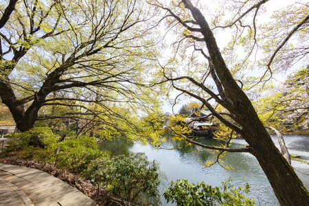 2 Inogashira Park