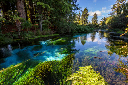 River Scenic and landscape in New Zealand