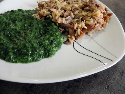 Meal delicious vegetable