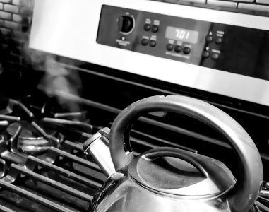 Steam oven gray tea photo