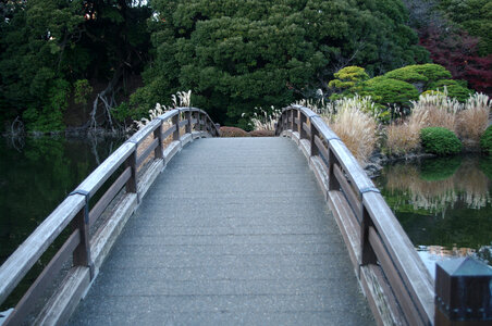 14 Bridge