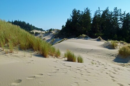 Usa coastal line scenery