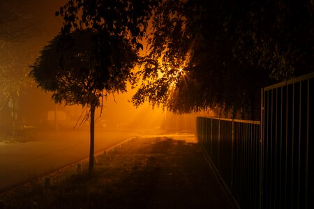 Night nighttime nightshade photo