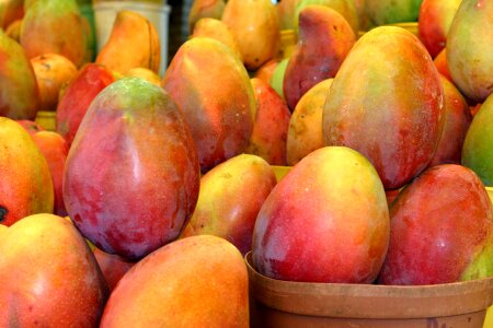 Expedition fresh fruit