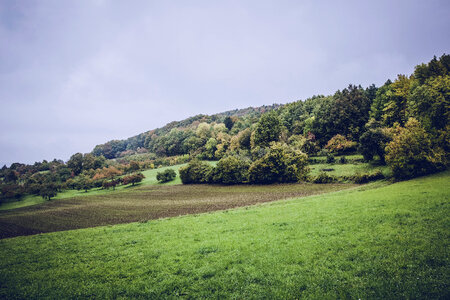 Autumn Farmland Cropland photo