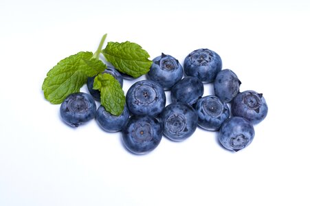 Food berry berries photo