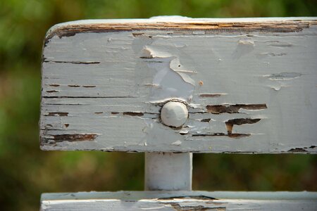 Bench daylight furniture photo