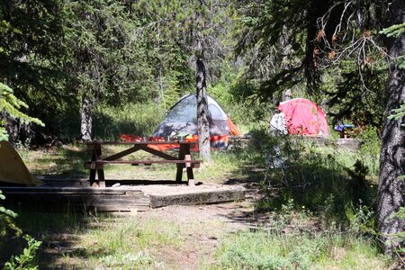 Camping in Yoho National Park, British Columbia, Canada photo