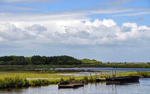 Coast lake landscape