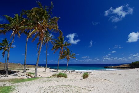 Anakena Beach Easter Island Chile