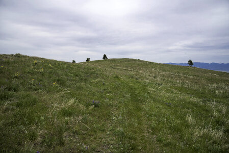 Grassy Hilltop on the Mount Ascension Trail, Helena photo
