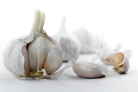 Garlic cooking organic photo