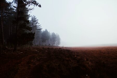Brown fields fog photo