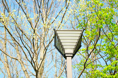 3 Light lamp