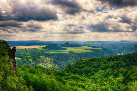Branch ecology environment