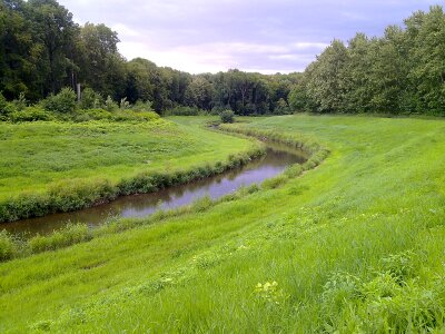 mountain stream running into the woods photo