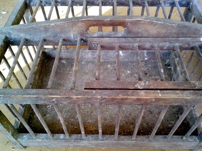 Cage carriage little
