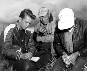 Array field work labor photo