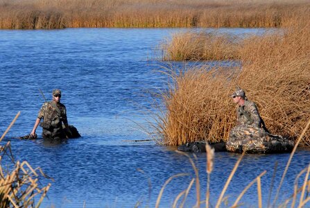 Aquatic Bird hunt whereas