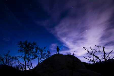 Night Sky with Stars, Trees and Silhouette of a Standing Alone Man photo