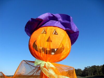 Halloween holidays blue funny